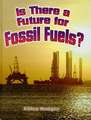 Is There a Future for Fossil Fuels?