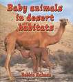 Baby Animals in Desert Habitats