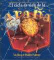 El Ciclo de Vida de la Arana