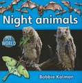 Night Animals