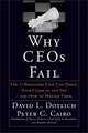 Why CEOs Fail – The 11 Behaviors That Can Derail Your Climb to the Top & How to Manage Them