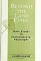 Beyond the Land Ethic: More Essays in Environmental Philosophy