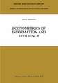 Econometrics of Information and Efficiency