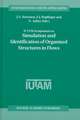 Iutam Symposium on Simulation and Identification of Organized Structures in Flows