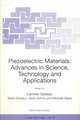 Piezoelectric Materials: Advances in Science, Technology and Applications