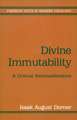 Divine Immutability: God and the Transformation of the World