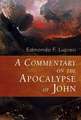 A Commentary on the Apocalypse of John