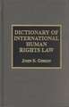 Dictionary of International Human Rights Law