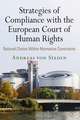 Strategies of Compliance with the European Court – Rational Choice Within Normative Constraints