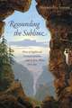 Resounding the Sublime – Music in English and German Literature and Aesthetic Theory, 1670–1850