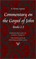 Commentary on the Gospel of John, Chapters 1-5