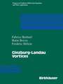 Ginzburg-Landau Vortices