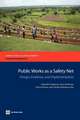 Public Works as a Safety Net: Design, Evidence, and Implementation