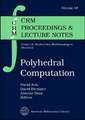 Polyhedral Computation