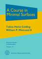 Course in Minimal Surfaces