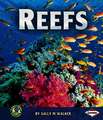 Reefs