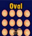 Oval