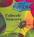 Cobweb Weavers