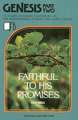 Genesis, Part 2: Faithful to His Promises