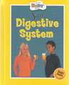 Your Digestive System