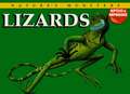 Lizards