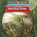 How Grass Grows