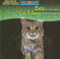 Cats Are Night Animals/Los Felinos Son Animales Nocturnos