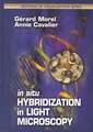 In Situ Hybridization in Light Microscopy