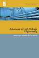 Advances in High Voltage Engineering