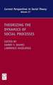 Theorizing the Dynamics of Social Processes