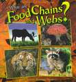 What Are Food Chains and Webs?