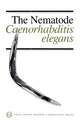 Nematode C Elegans #17 (P) '88