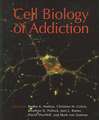 Cell Biology of Addiction