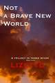 Not a Brave New World - Lizette