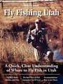 Fly Fishing Utah: A Quick, Clear Understanding of Where to Fly Fish in Utah