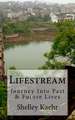 Lifestream