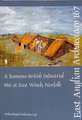 Lally, M: EAA 167: A Romano-British Industrial Site at East