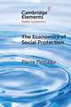 The Economics of Social Protection