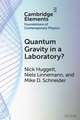 Quantum Gravity in a Laboratory?