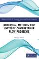 Numerical Methods for Unsteady Compressible Flow Problems