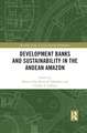 Development Banks and Sustainability in the Andean Amazon