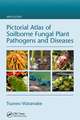 Pictorial Atlas of Soilborne Fungal Plant Pathogens and Diseases