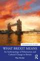 What Brexit Means: An Anthropology of Polarization and Cultural Change in Britain