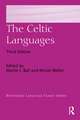 The Celtic Languages