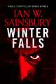 Winter Falls