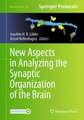 New Aspects in Analyzing the Synaptic Organization of the Brain