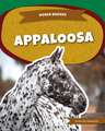Appaloosa