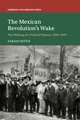 The Mexican Revolution's Wake: The Making of a Political System, 1920–1929