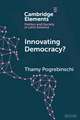 Innovating Democracy?: The Means and Ends of Citizen Participation in Latin America