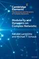 Modularity and Dynamics on Complex Networks